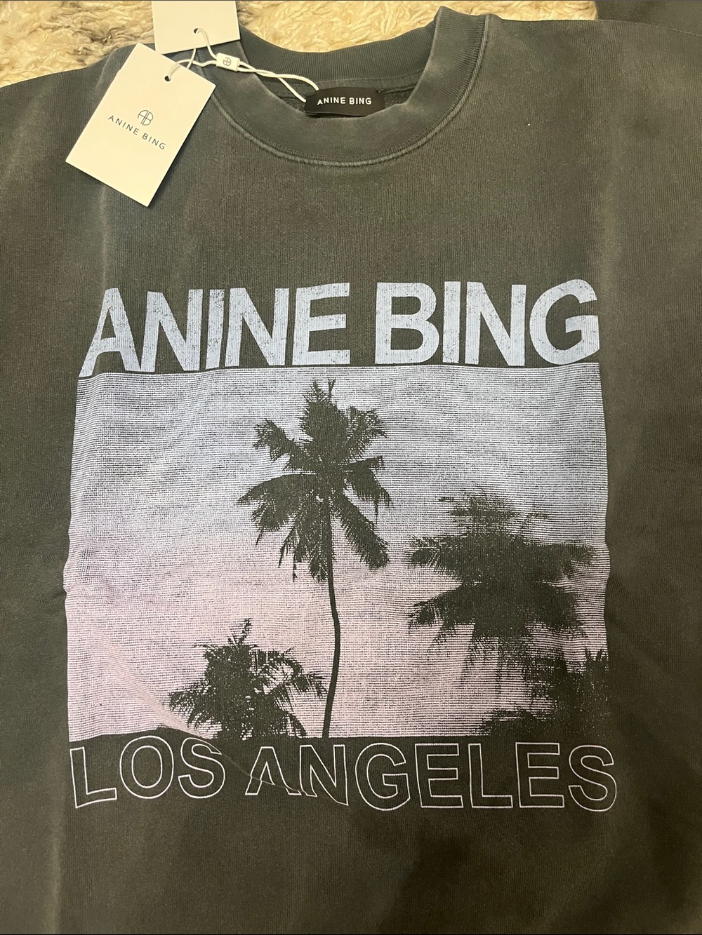Anine Bing Miles sweatshirt. Palms. Washed grey. Size xs. New with tags. - Picture 2 of 6